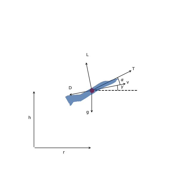 The free-body-diagram of the min-time-climb problem.